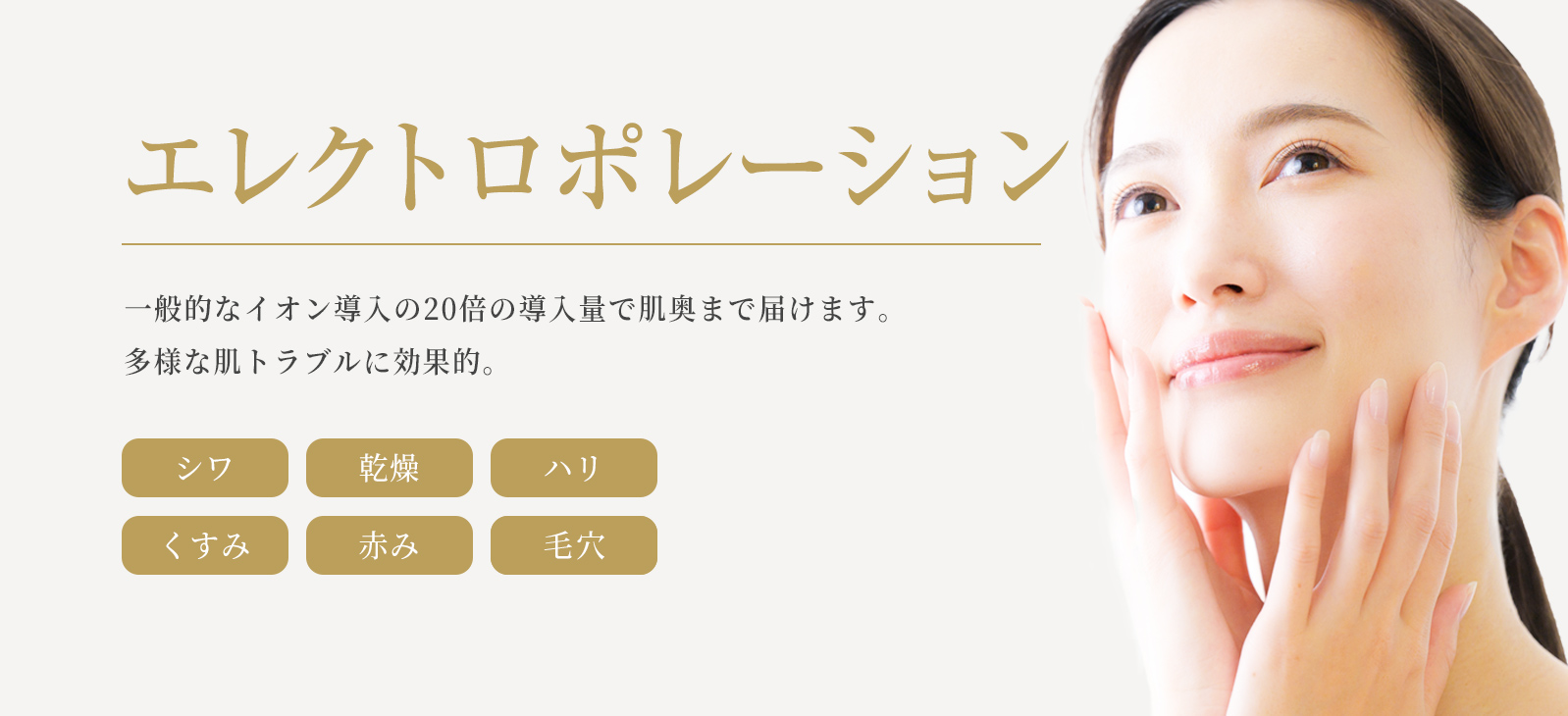 エレクトロポレーション治療イメージ